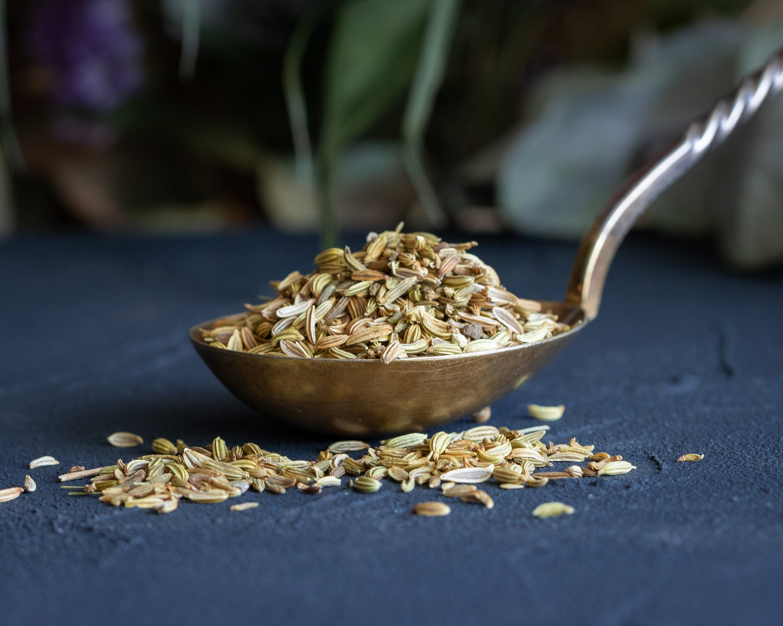 Organic Fennel seeds Organic Fennel seeds