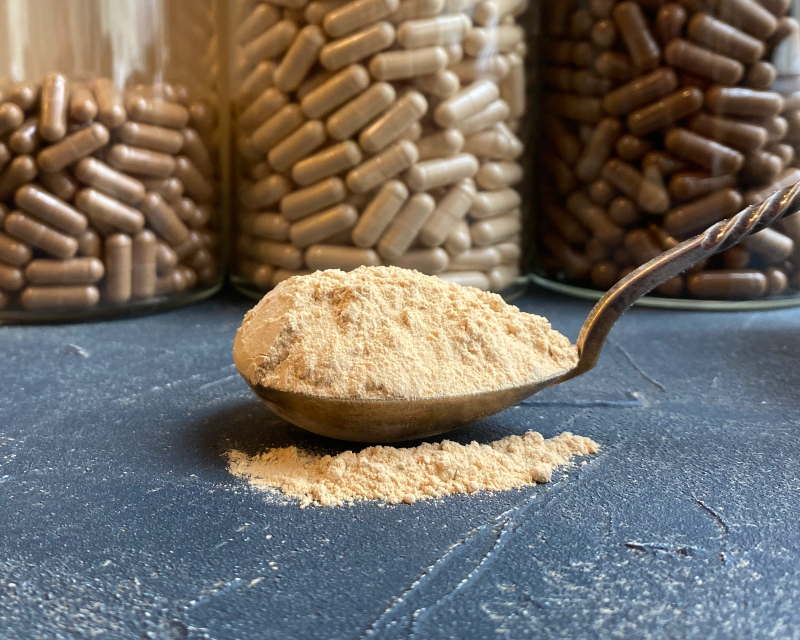Organic Lion's Mane (Hericium erinaceus) mushroom powder Organic Lion's Mane (Hericium erinaceus) mushroom powder