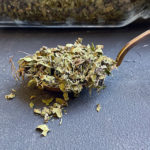 organicheskaya-sushenaya-perechnaya-myata