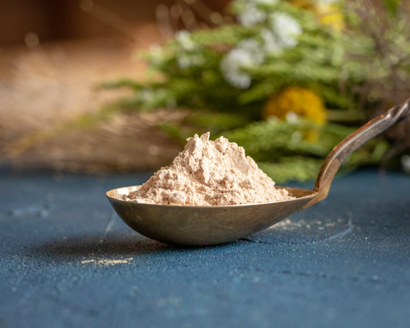 organic-oyster-mushroom-powder-pleurotus-ostreatus Organic Oyster mushroom powder (Pleurotus ostreatus) - Image 1