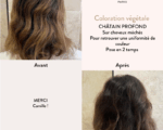 Органическая краска для волос Chesnut Brown — изображение 4