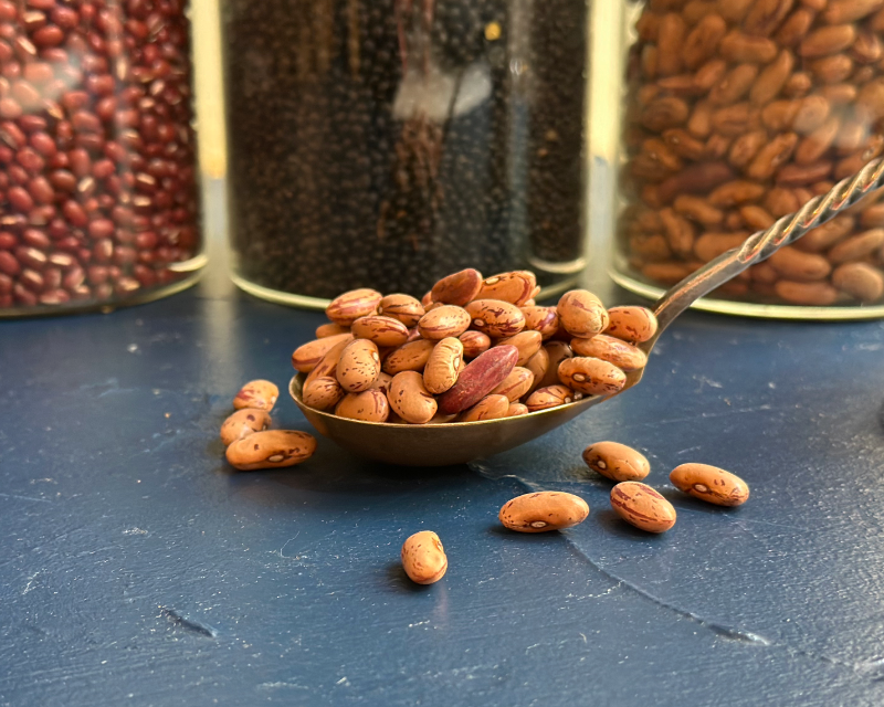 Ekologiškos pupelės Borlotti Organic Borlotti beans - Image 1